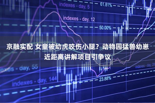 京融实配 女童被幼虎咬伤小腿？动物园猛兽幼崽近距离讲解项目引争议