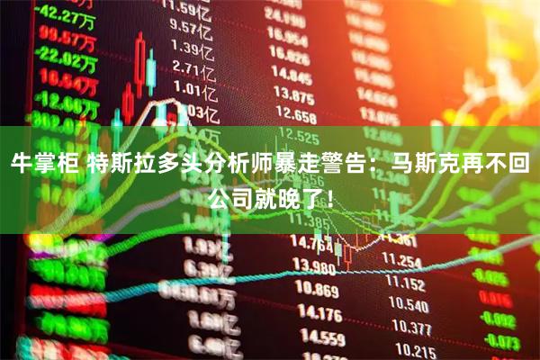 牛掌柜 特斯拉多头分析师暴走警告：马斯克再不回公司就晚了！