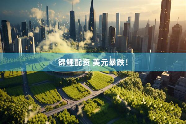 锦鲤配资 美元暴跌！
