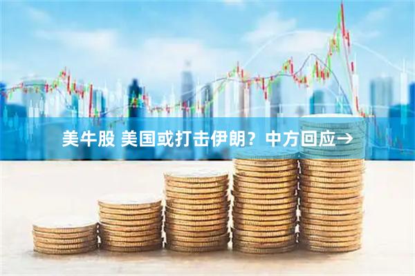 美牛股 美国或打击伊朗？中方回应→