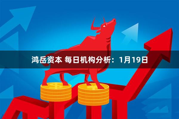 鸿岳资本 每日机构分析:1月19日