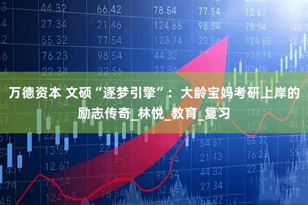 万德资本 文硕“逐梦引擎”:大龄宝妈考研上岸的励志传奇_林悦_教育_复习